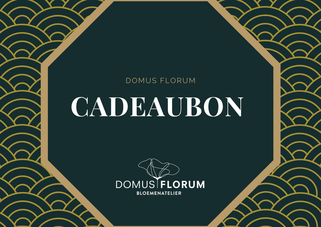 Cadeaubon Domus Florum